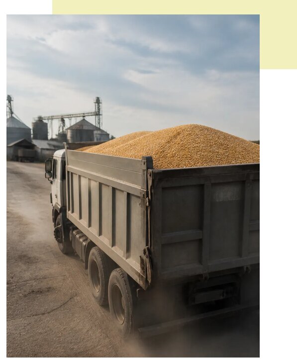 Перевозка сельхозпродукции навалом в Светлоград по цене от 3047 р. | Агросервис-Свт